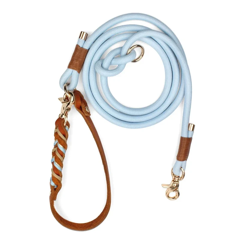 Laisse Lasso Cuir Nylon Gros Chien