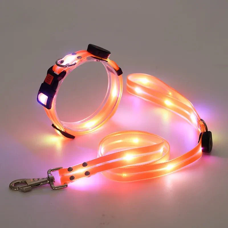 Laisse Lumineuse LED Rechargeable Gros Chien