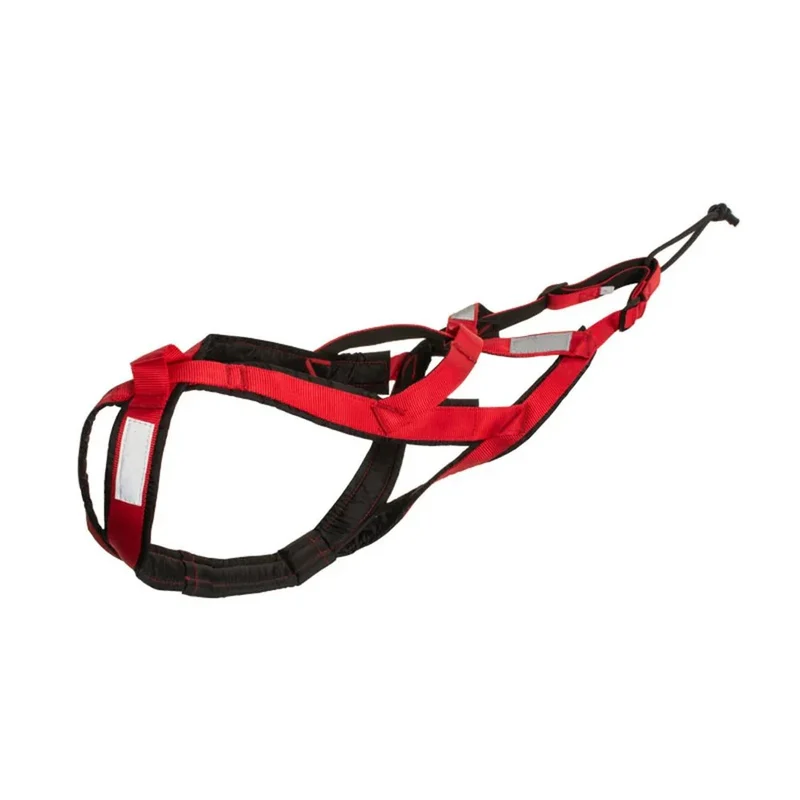 Harnais Canicross Rouge Réglable Gros Chien