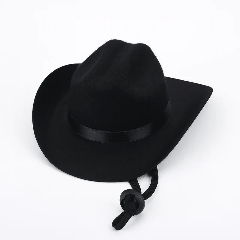 Chapeau Cowboy Western Costume Chien Original