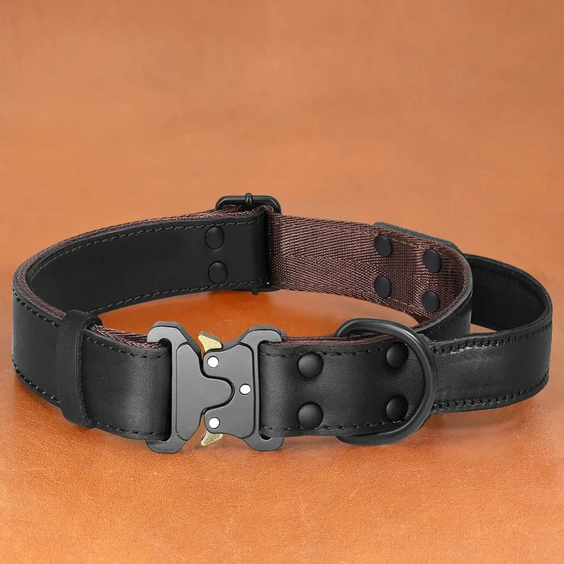 Collier Cuir Premium Poignée Contrôle Gros Chien
