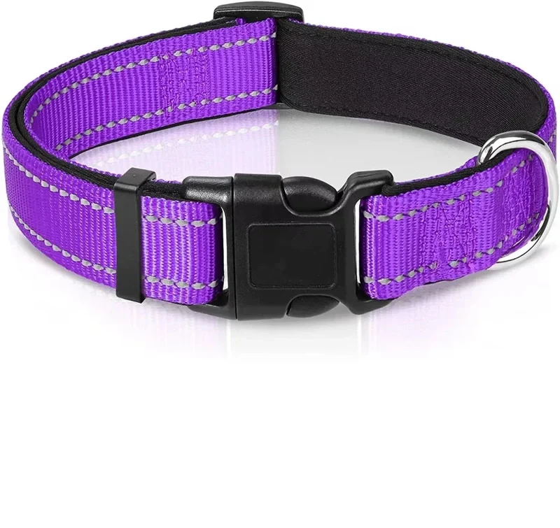 Collier Réfléchissant Réglable Gros Chien Nuit