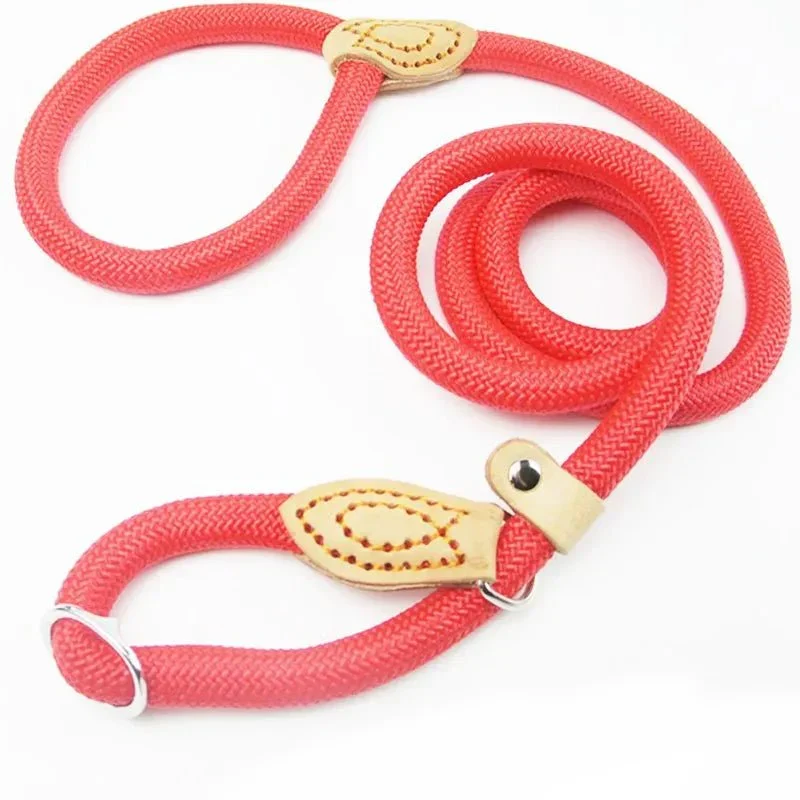 Laisse Lasso Nylon Réglable Multi-Tailles Chien