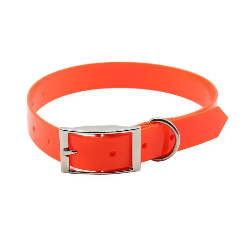 Collier Chasse Étanche Réglable Gros Chien