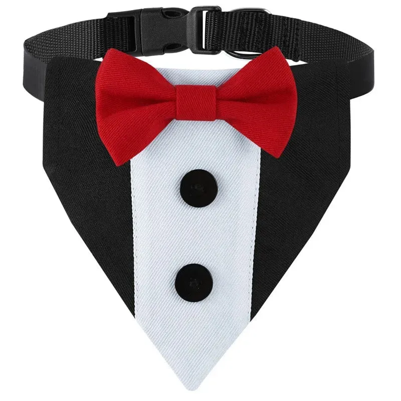 Collier Nœud Papillon Élégant Gros Chien