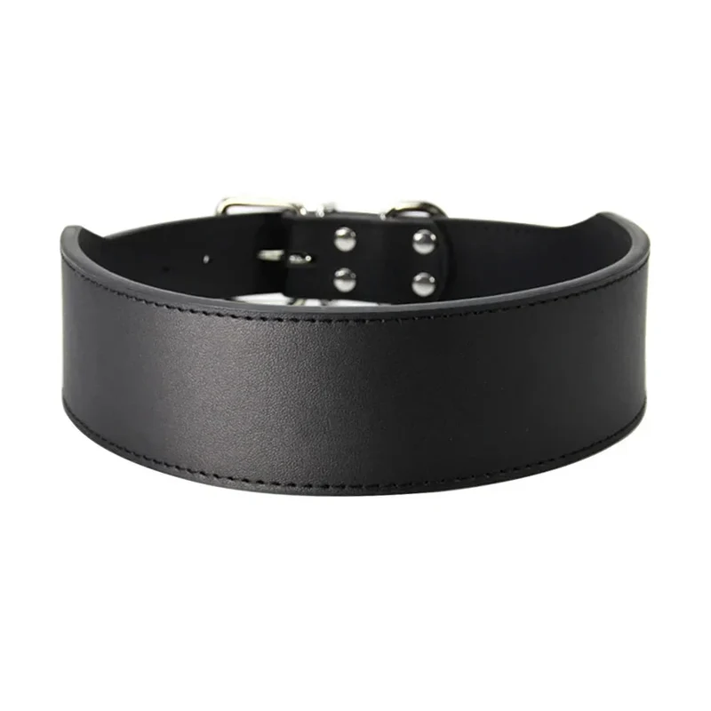 Collier Chien Réglable Confortable Multicolore