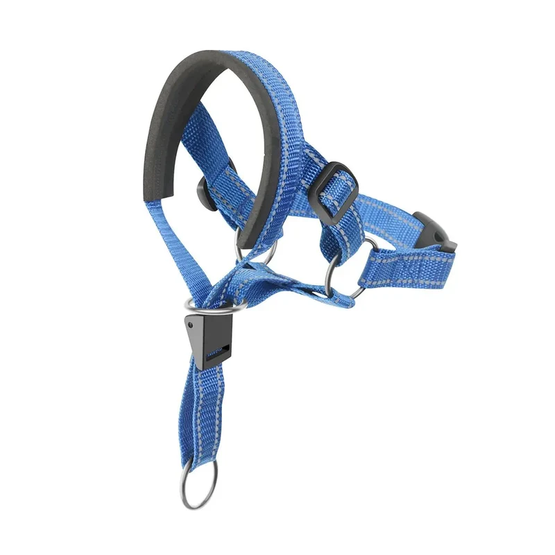 Collier Licol Anti-Traction Dressage Molosse