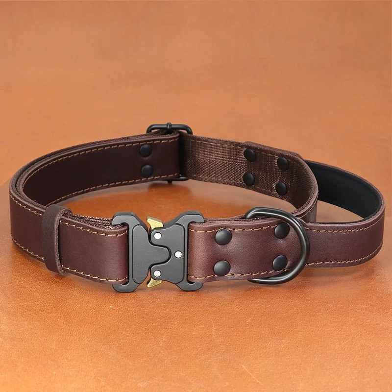 Collier Cuir Pleine Fleur Poignée Molosse