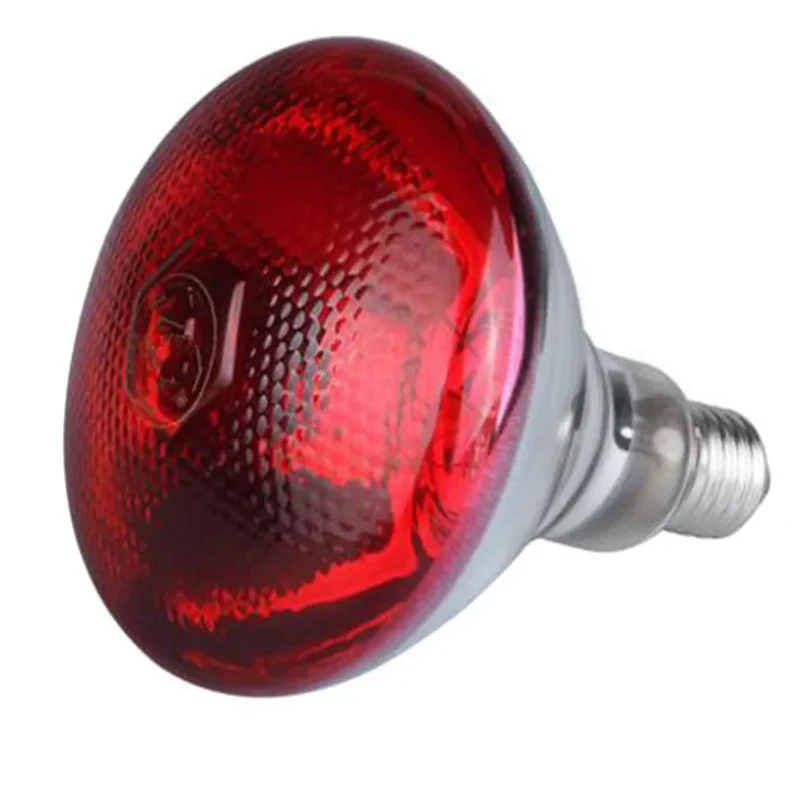 Lampe Chauffante Infrarouge Niche Gros Chien