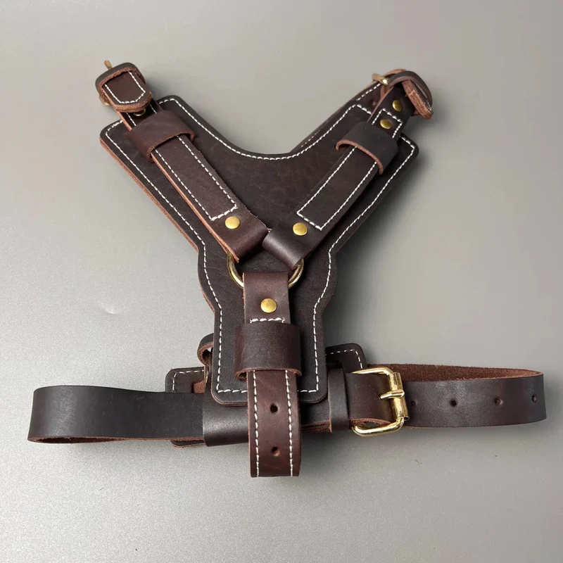 Harnais Cuir Y Premium Gros Chien