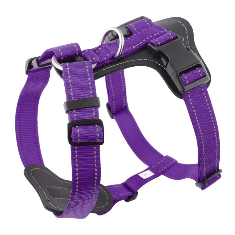 Harnais Cuir Renforcé Anti-Traction Gros Chien