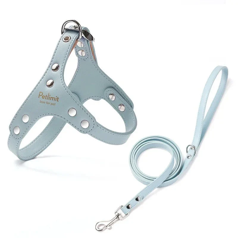 Harnais Cuir Élégant Petit Gros Chien