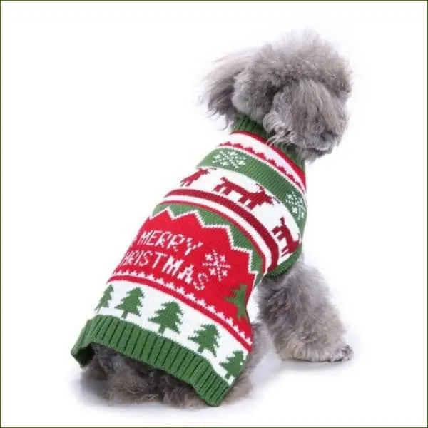 Pull de noël pour petit chien