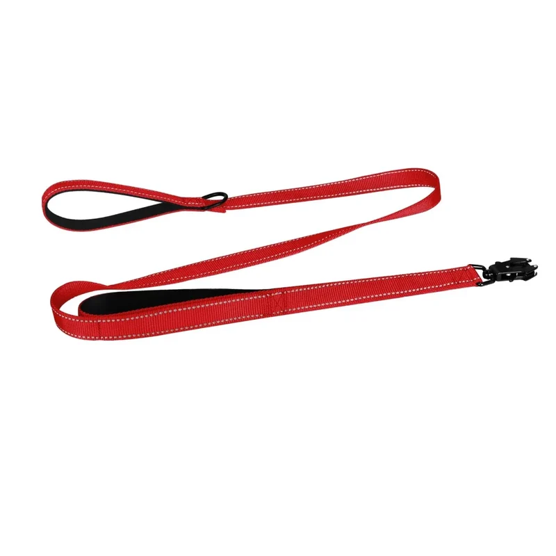 Laisse Nylon 150cm Robuste Gros Chien