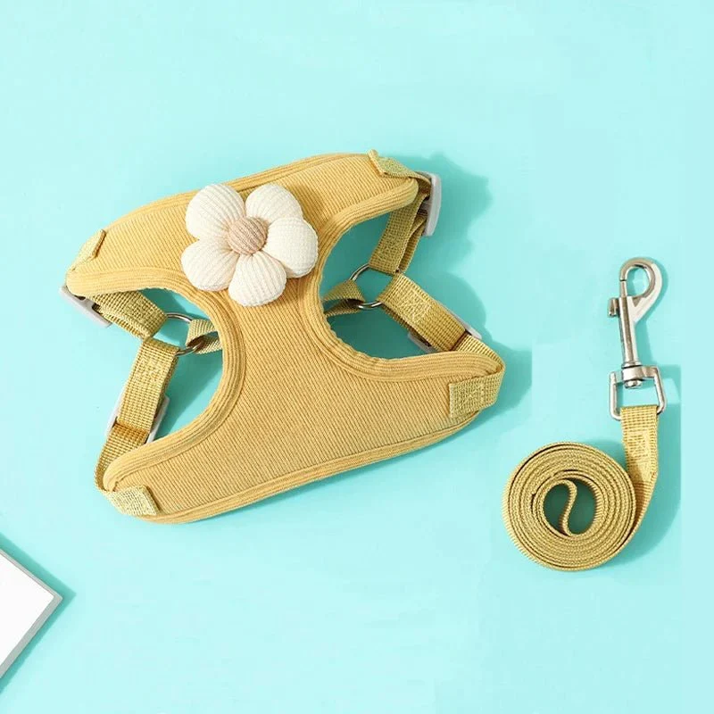 Set Harnais Laisse Doux Petit Chien