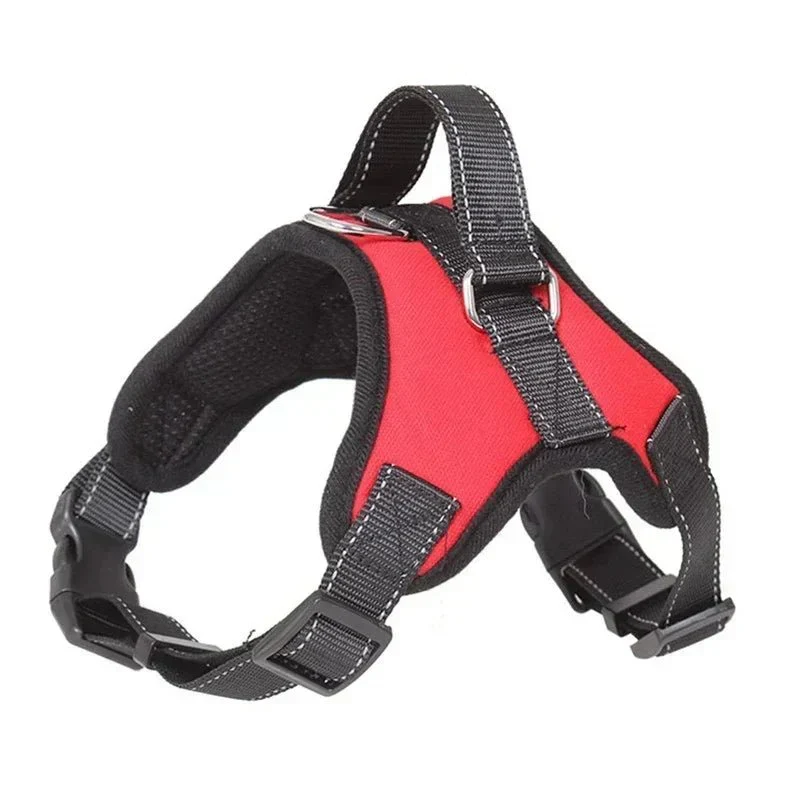 Harnais Réglable Chiot Teckel Rouge