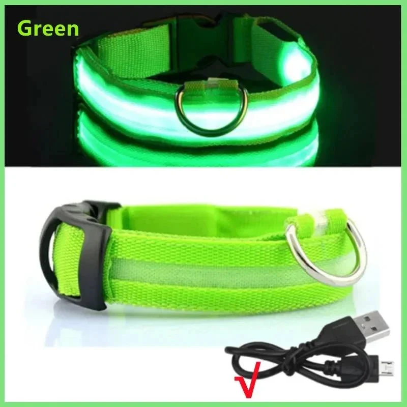 Collier Lumineux USB Réchargeable Gros Chien