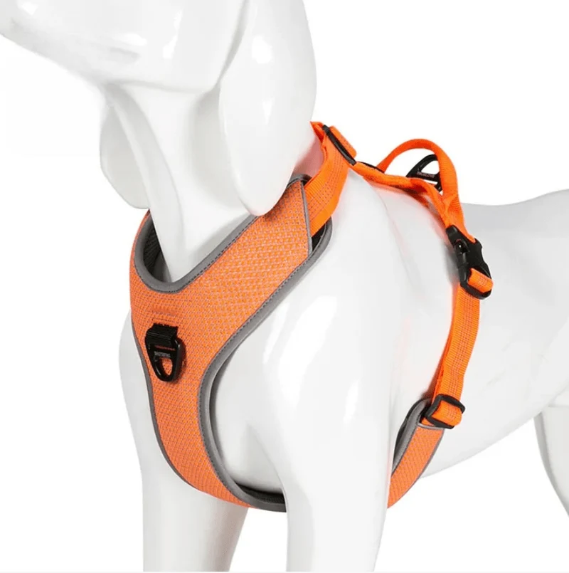 Harnais Parachute Chien Réglable Multi-Tailles