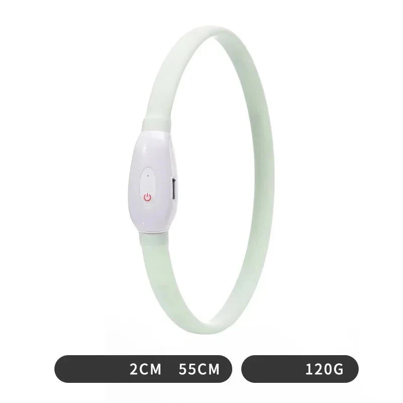 Collier LED Rechargeable Silicone Chien