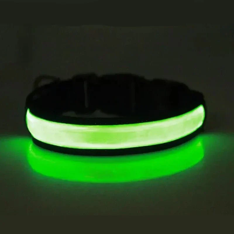 Collier Lumineux LED Rechargeable Sécurité Nocturne