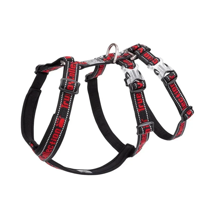 Harnais en T Réglable Confort Chien