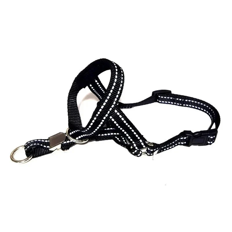 Laisse Muselière 2-en-1 Gros Chien