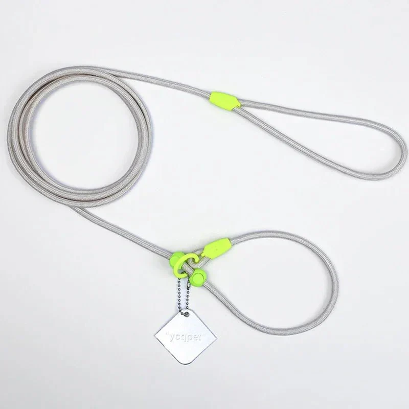 Laisse Éducative Slip Lead Molosse