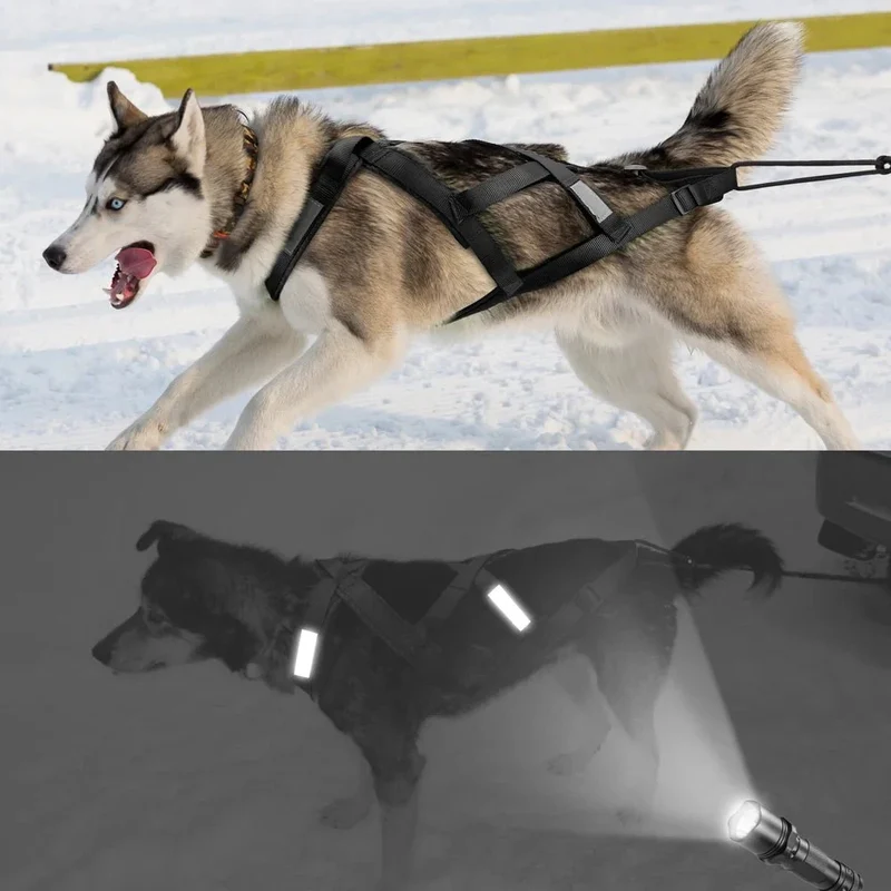 Harnais Traîneau Mushing Chien Plastron