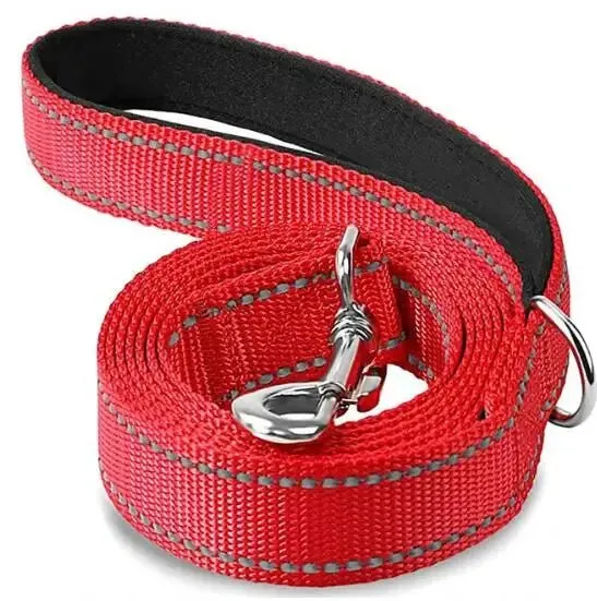 Laisse Nylon Réfléchissante Gros Chien