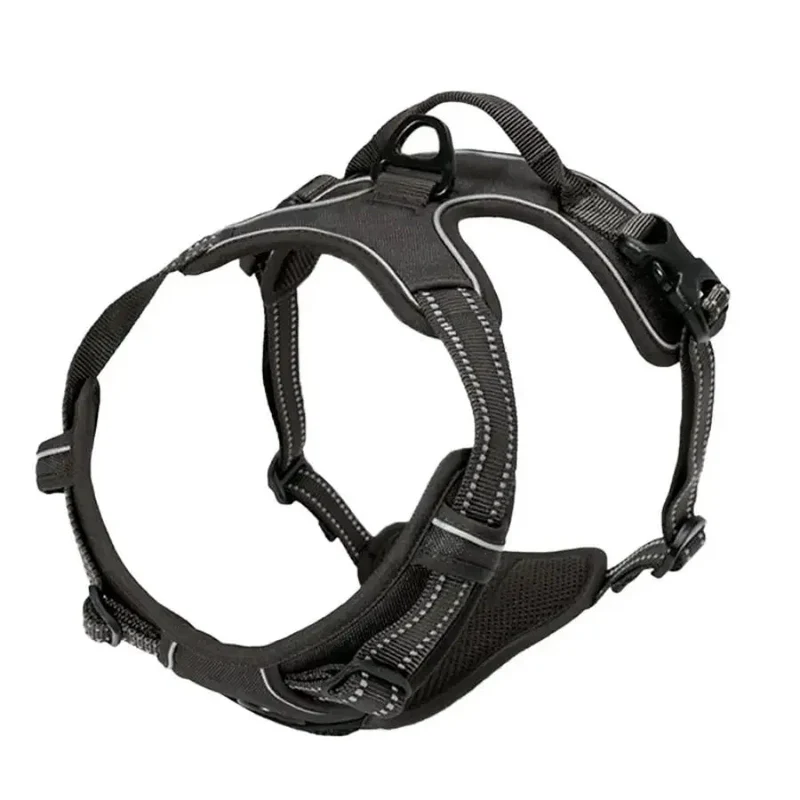 Harnais Anti-Traction Noir Jack Russell Robuste
