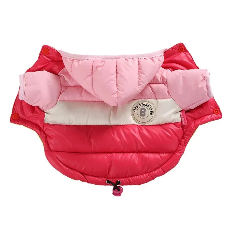 Doudoune Imperméable Petit Chien Hiver