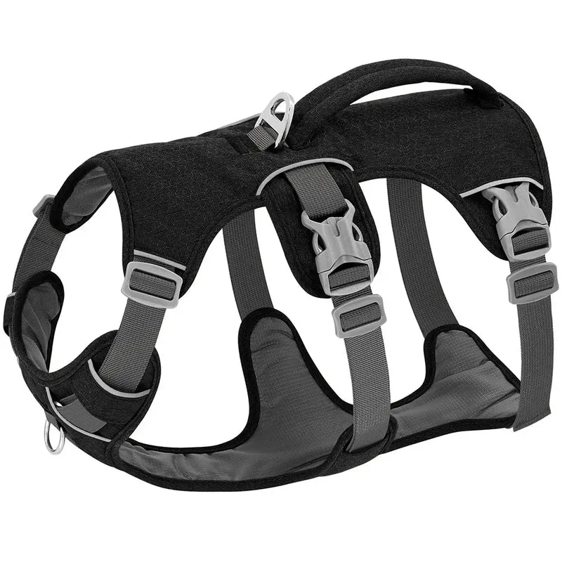 Harnais Vétérinaire Anti-Traction Confort Chien