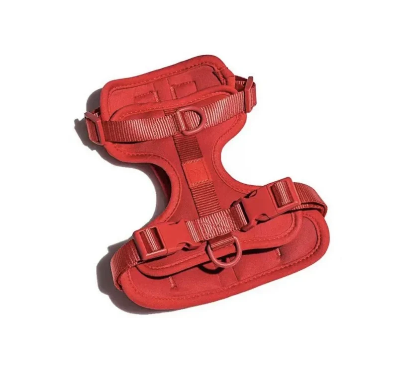 Harnais Biothane Imperméable Réglable Chien