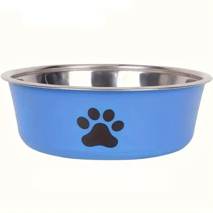 Gamelle Inox Antidérapante Colorée Chien