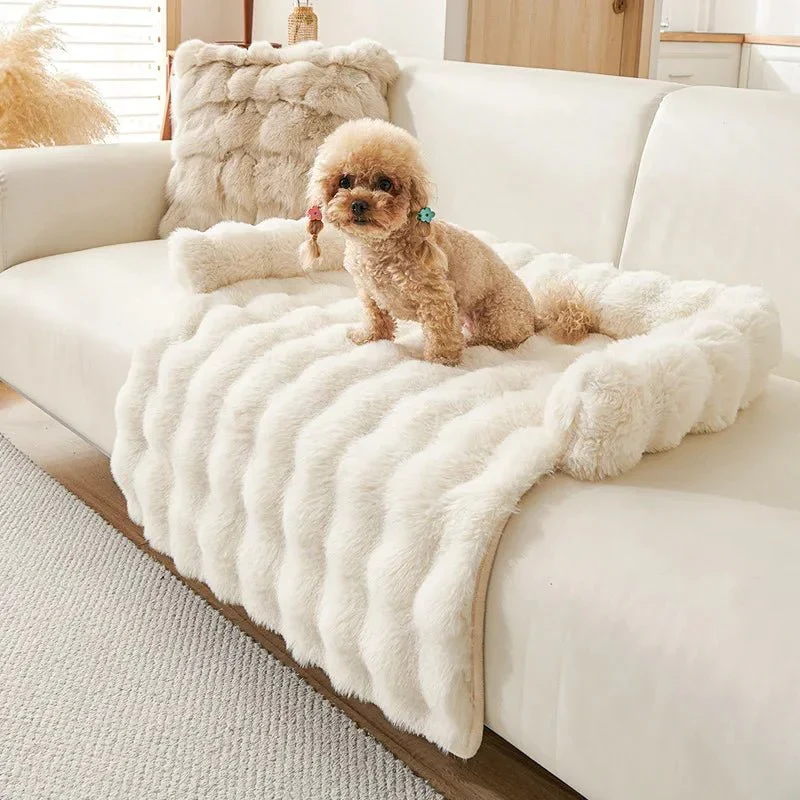 Tapis Anti-Poils Lavable Gros Chien