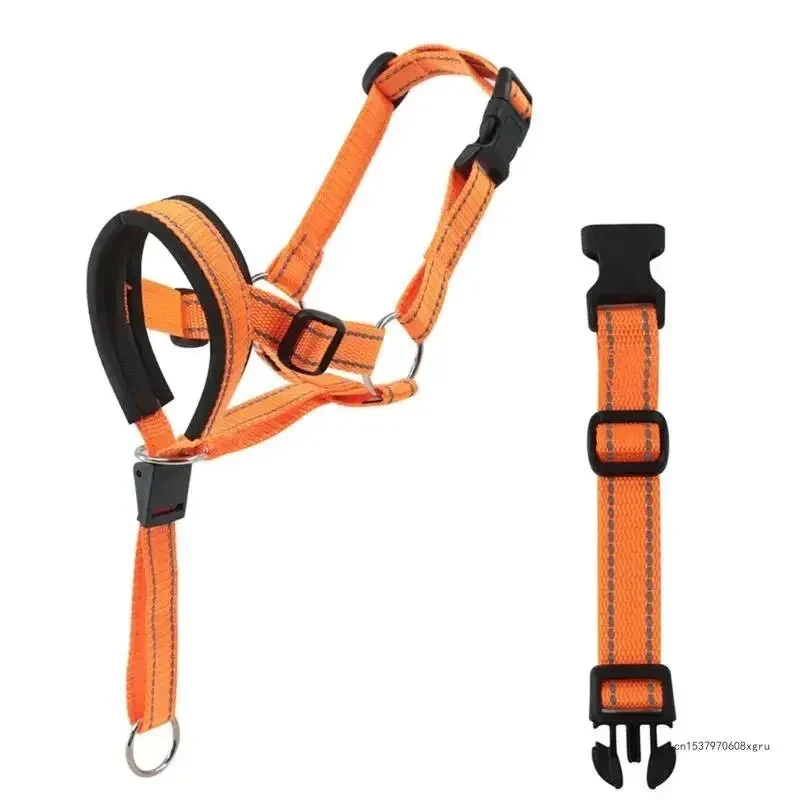 Licol Éducatif Nylon Gros Chien Réglable