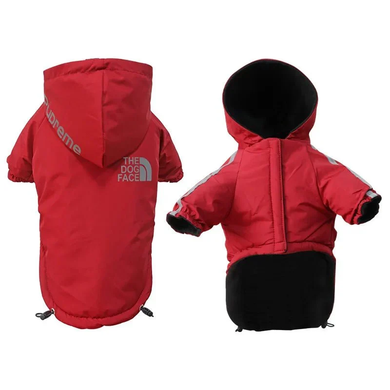 Manteau Capuche Doudoune Petit Chien Hiver