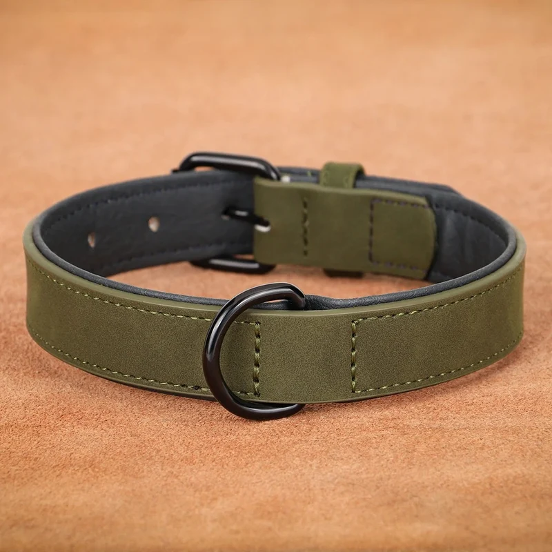 Collier Cuir Rembourré Vert Molosse