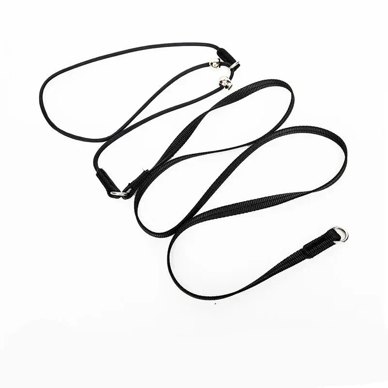 Collier Étrangleur Dressage Gros Chien