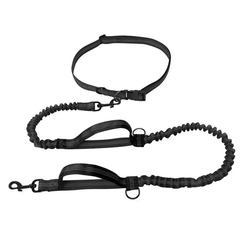 Laisse Anti-Traction Bungee Réfléchissante Gros Chien