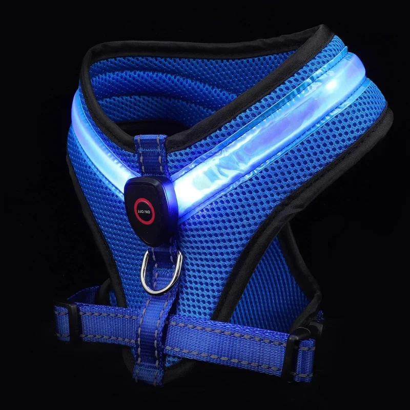 Harnais LED Rechargeable Petit Molosse