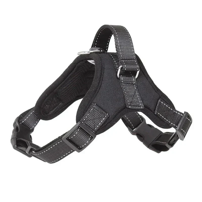 Harnais Chiot Carlin Anti-Traction Confort