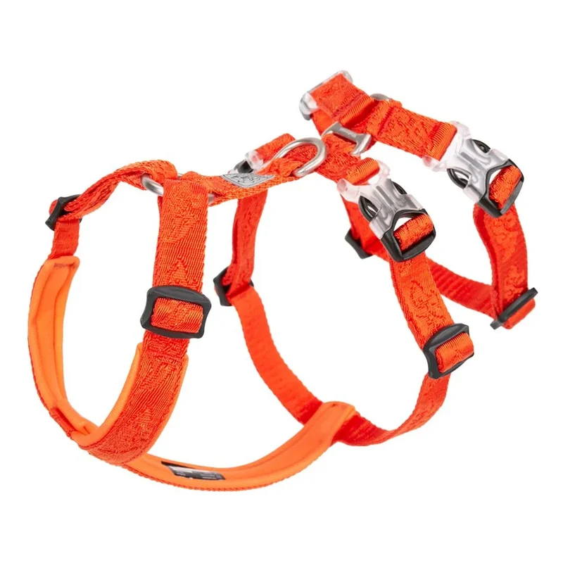 Harnais Anti-Traction Berger Australien Molosse