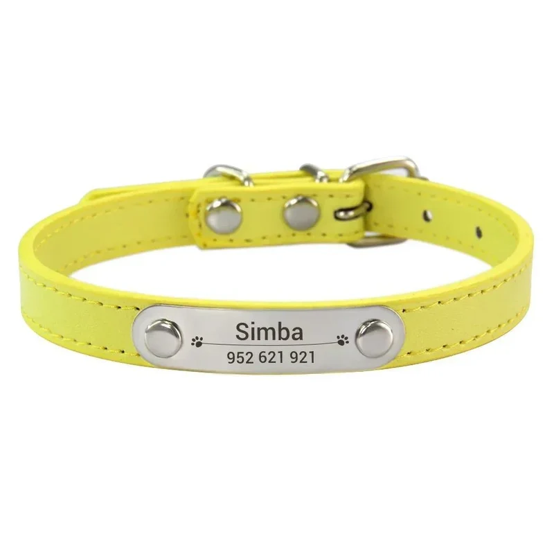 Collier Chiot Personnalisé Plaque Inox Gravée