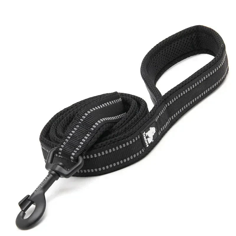 Laisse Nylon Réfléchissante 200cm Molosse
