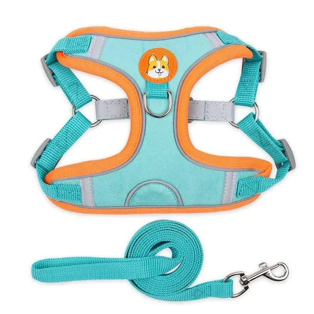Harnais Anti-Traction Petit Chien Chiot