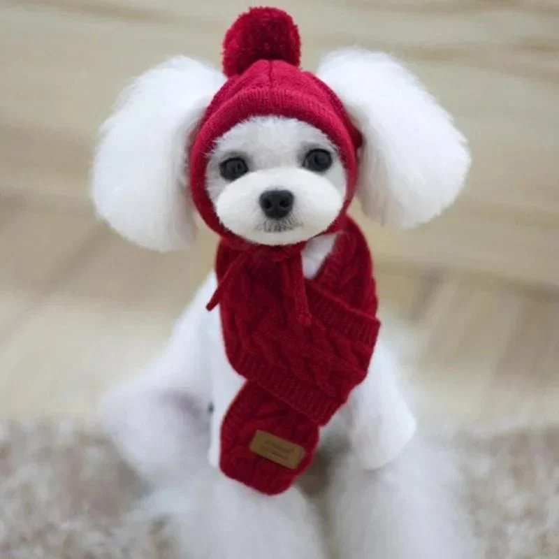 Bonnet Tricot Écharpe Chien Hiver
