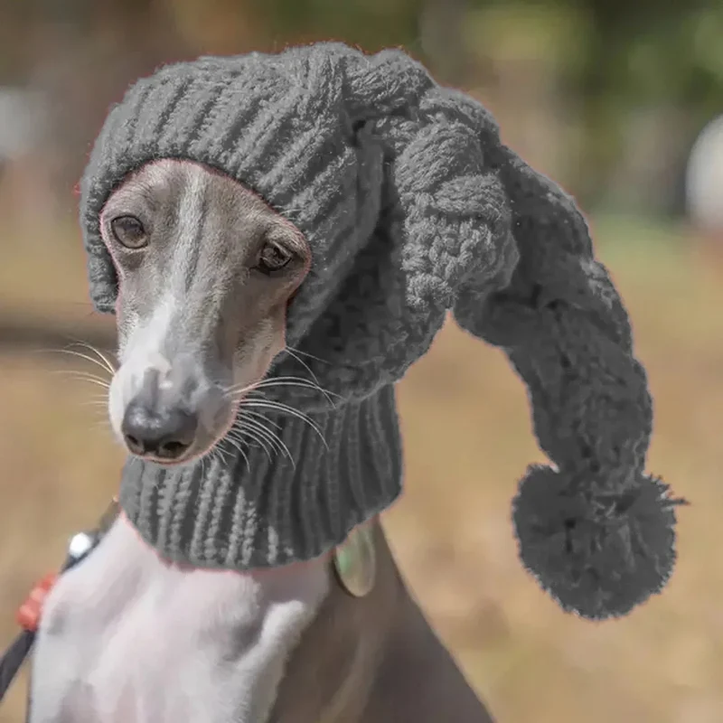 Bonnet Cagoule Thermique Chien Hiver
