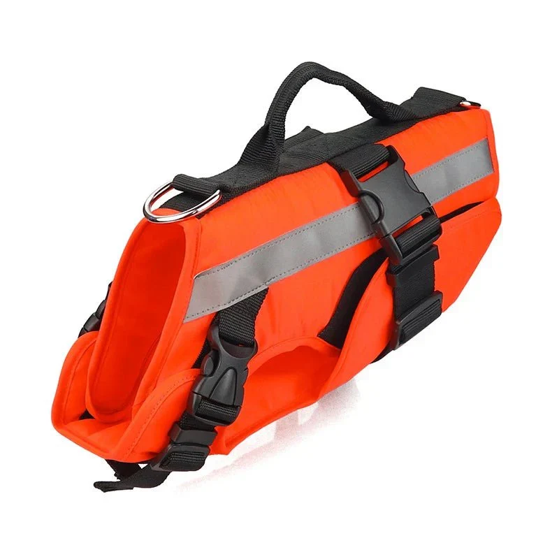 Gilet Sauvetage Réfléchissant Nage Chien