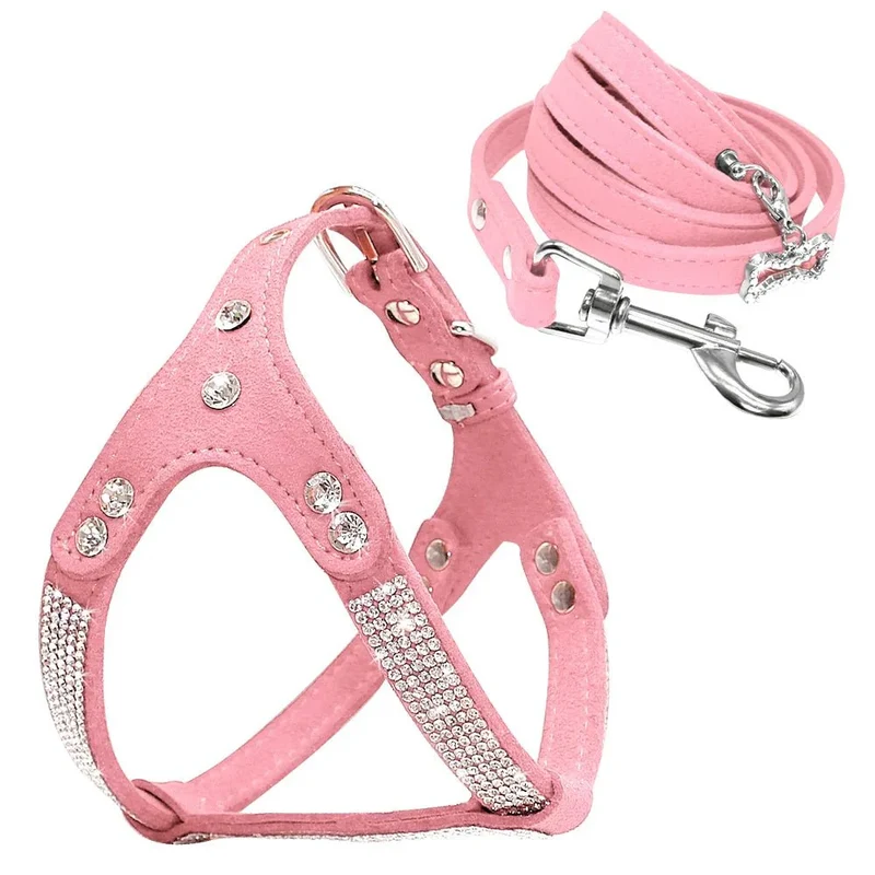 Harnais Strass Set Avec Laisse Petit Chien